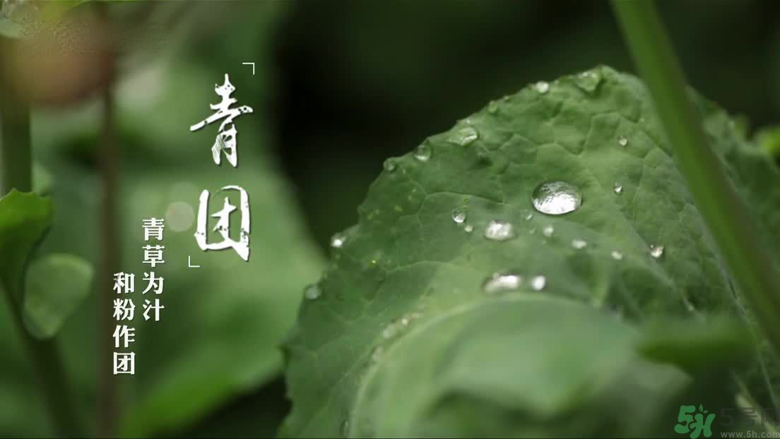 什么人不能吃青團？吃青團要注意什么？
