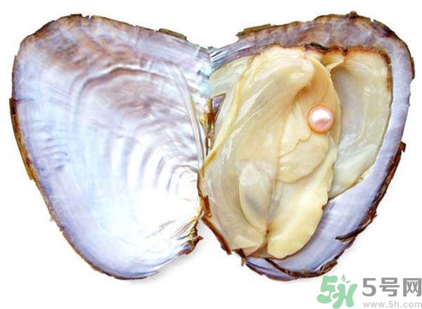 河蚌什么時候吃最好？吃河蚌有什么好處？