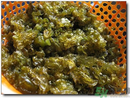 地皮菜怎么清洗干凈？怎樣洗地皮菜？