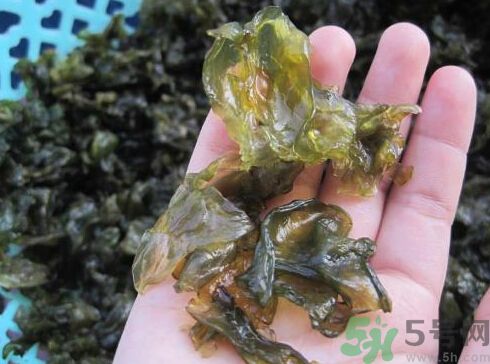 地皮菜孕婦能吃嗎？地皮菜孕婦吃好嗎？