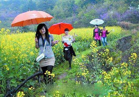 清明節(jié)為什么要踏青？清明節(jié)踏青有什么好處？