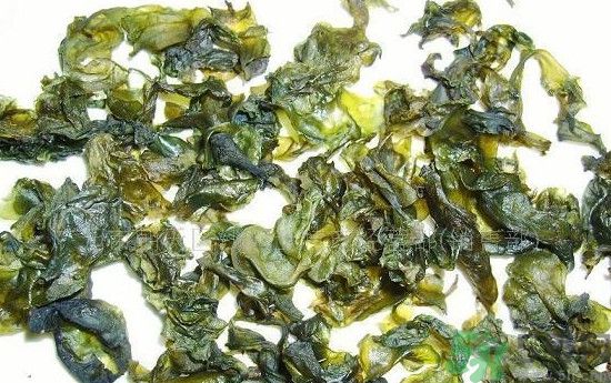 地皮菜可以炒山藥嗎？地皮菜炒山藥能吃嗎？