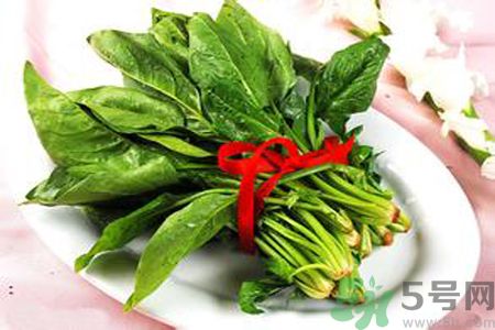 補(bǔ)血吃什么好？補(bǔ)血的食物有哪些？