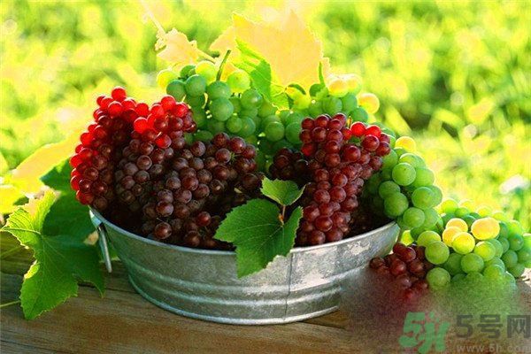 高血脂吃什么水果好？什么水果可以降血脂？