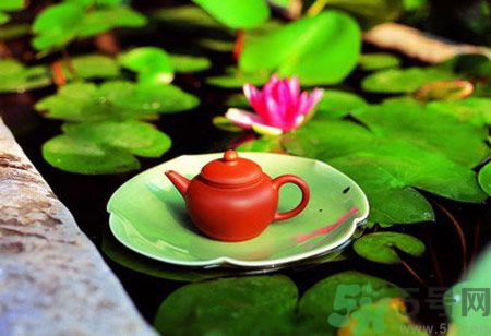 降血脂的茶有哪些？什么茶可以降血脂？
