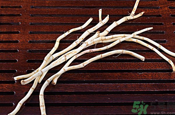 魚腥草能泡水喝嗎？魚腥草泡水喝有什么功效？
