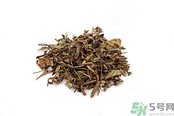 魚腥草能泡水喝嗎？魚腥草泡水喝有什么功效？