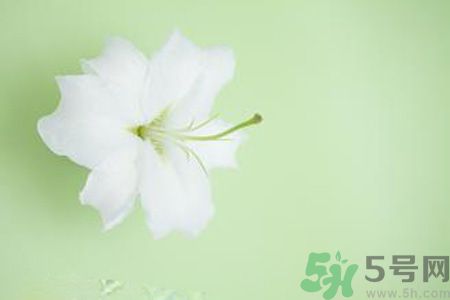 春季咳嗽怎么辦？春季咳嗽吃什么好？