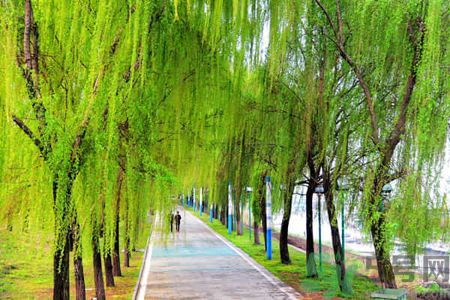 春天適合什么運(yùn)動(dòng)？春天做什么運(yùn)動(dòng)好？
