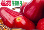 咳嗽能吃蓮霧嗎？蓮霧咳嗽可以吃嗎？