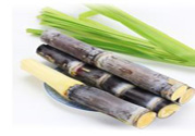 清明節(jié)可以吃甘蔗嗎？清明節(jié)不能吃哪些食物？