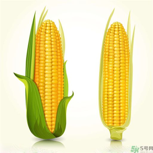糖尿病可以吃玉米嗎？糖尿病吃玉米好嗎？