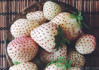 菠蘿莓好吃嗎？菠蘿莓好不好吃？
