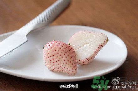 菠蘿莓好吃嗎？菠蘿莓好不好吃？