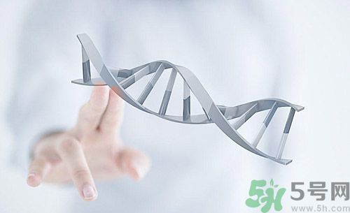 糖尿病會遺傳嗎？糖尿病會遺傳給胎兒嗎？