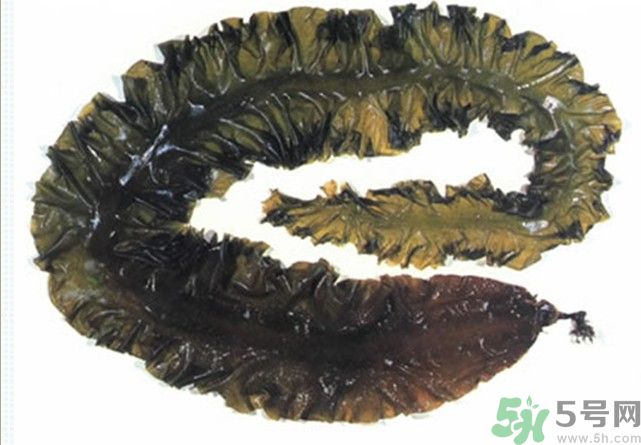 海帶用冷水泡還是熱水泡發(fā)？海帶怎么泡才不會(huì)發(fā)硬？