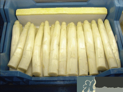 吃蘆筍注意事項(xiàng)有哪些？蘆筍有什么藥用功效？