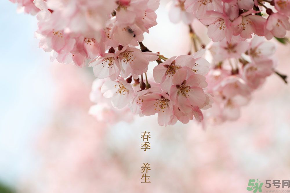 女性春季養(yǎng)生吃什么？女性春季怎么養(yǎng)生？