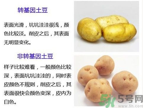 土豆變綠還能吃嗎？土豆變綠有什么危害？