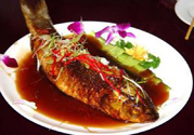 痛風(fēng)可以吃魚(yú)嗎？痛風(fēng)可以吃什么魚(yú)？