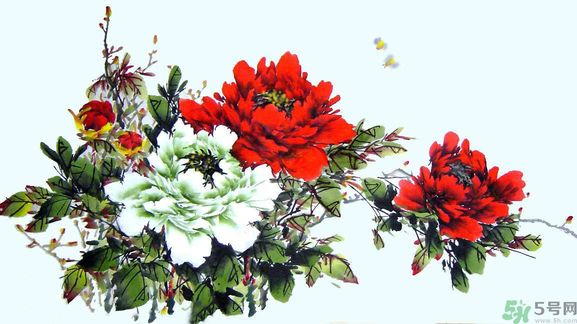 牡丹的花語(yǔ)是什么？牡丹的寓意是什么？