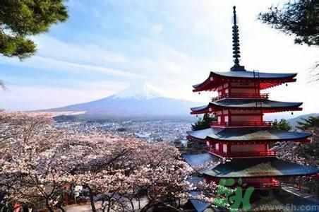 中國人赴日或免簽是怎么回事？日本有什么好玩的地方？