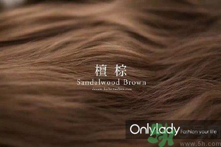 九大染發(fā)色系有哪些？哪種染發(fā)色系最適合女生？
