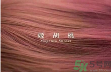 九大色系染發(fā)要怎么選擇？九大色系染發(fā)有什么要求？