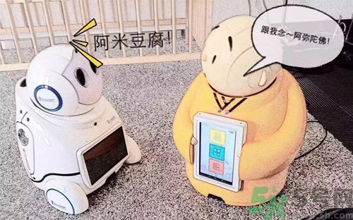 機(jī)器僧哪里可以買到？機(jī)器僧多少錢？