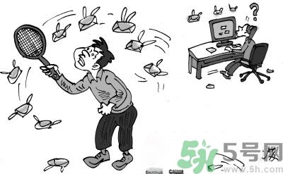 1分鐘被騙334萬 釣魚郵件內容是什么？