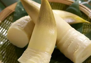 春筍是發(fā)物嗎?春筍是不是發(fā)物?
