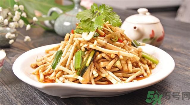 魚腥草可以止咳嗎？魚腥草止咳的辦法有哪些？