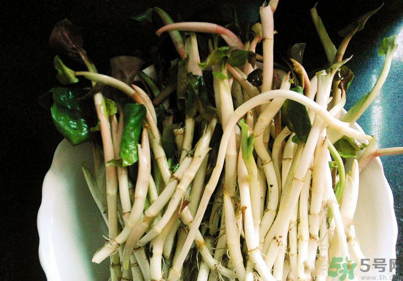 烏藥能和魚(yú)腥草一起泡茶喝嗎？烏藥和魚(yú)腥草一起吃好不好？