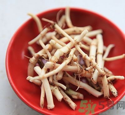 吃涼拌魚腥草可以喝酒嗎？吃魚腥草喝酒好不好？