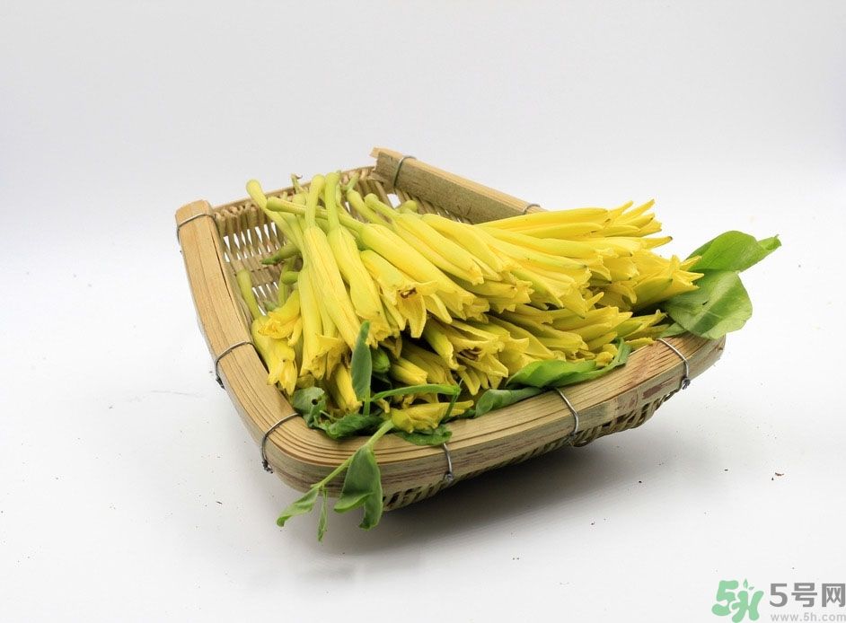 黃花菜可以治療抑郁癥嗎？兩噸黃花菜治好了抑郁癥是真的嗎？