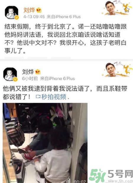 諾一雪梨是誰？為什么叫諾一雪梨？
