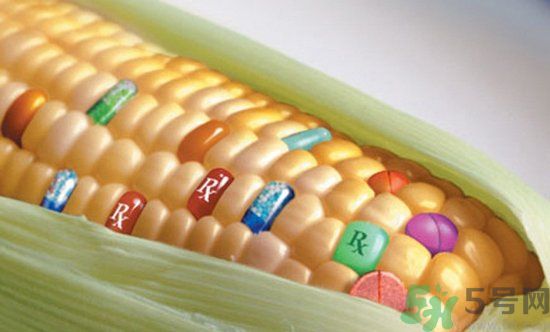 農(nóng)業(yè)部怎樣回應(yīng)轉(zhuǎn)基因食品？轉(zhuǎn)基因的食物有哪些？