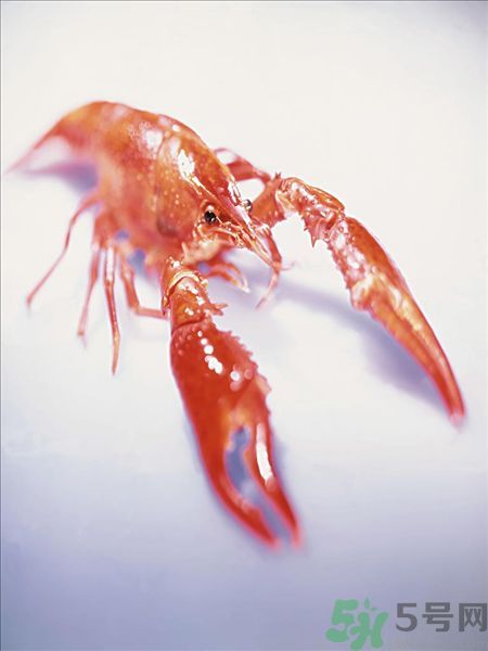 油燜大蝦為什么肉散了？油燜大蝦怎么做肉不散？
