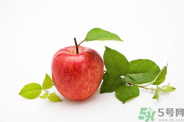 晚上9點以后可以吃蘋果嗎？晚上吃蘋果好不好？