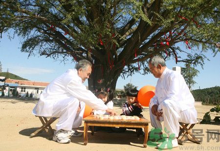 多運(yùn)動(dòng)可以長壽嗎？長壽的秘訣是什么？
