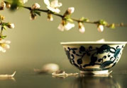 春天喝什么茶養(yǎng)生最好？春天喝茶要注意什么？