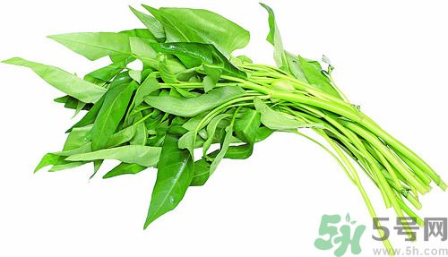 空心菜和雞能一起吃嗎？空心菜怎么吃有營養(yǎng)？