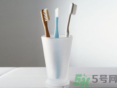 牙齦出血要換牙刷嗎？牙刷多久換一次好？