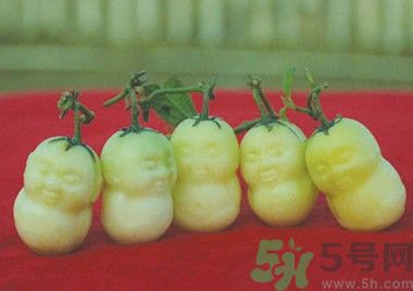 人參果怎么吃？人參果的營養(yǎng)價值有哪些？