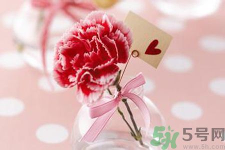 母親節(jié)送什么顏色的康乃馨？母親節(jié)應(yīng)該買什么顏色的康乃馨？