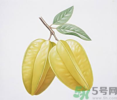 楊桃和什么不能一起吃？楊桃不能與什么同食？