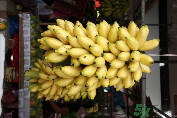 孕婦可以吃牛奶蕉嗎？孕婦吃牛奶蕉好嗎？