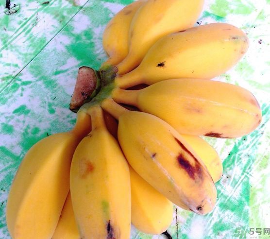 什么是牛奶蕉？牛奶蕉好吃嗎？
