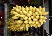 牛奶蕉是熱性還是涼性？牛奶蕉是涼性嗎？