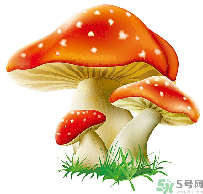 吃蘑菇可以喝酒嗎？吃蘑菇喝酒會中毒嗎？